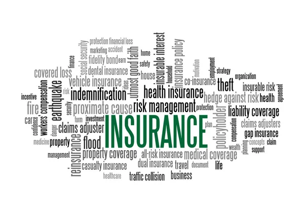 Insurance Word Tag Cloud words related to risk management — Stock Vector