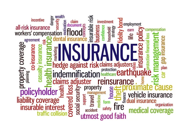 Insurance Word Tag Cloud words related to risk management — Stock Vector