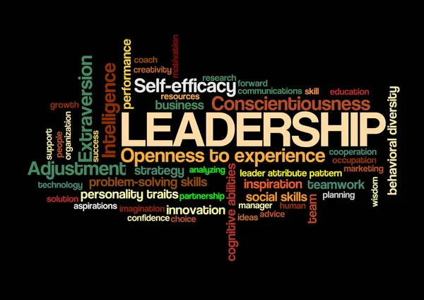 Leadership Word Tag Cloud leader attribut motif concept — Image vectorielle