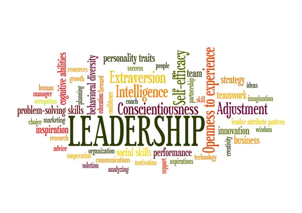 Leadership Word Tag Cloud leader attribute pattern concept — Stock Vector