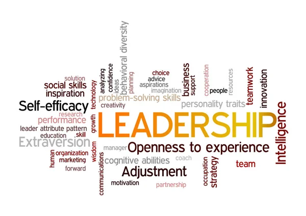 Leiderschap Word Tag Cloud leader kenmerk patroon-concept — Stockvector