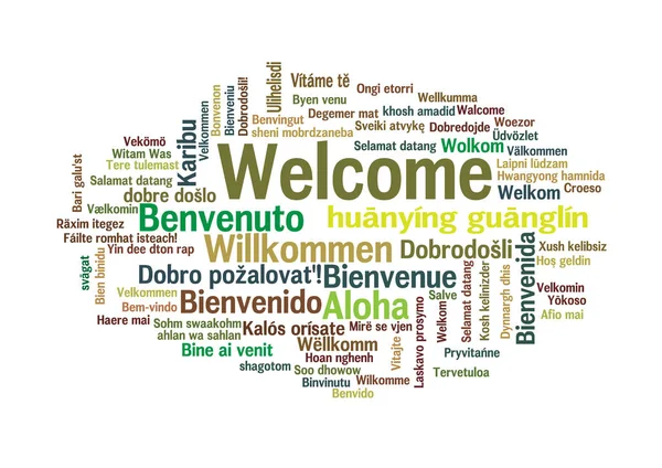 Word Tag Cloud, shows equivalents of 'Welcome' — Stock Vector