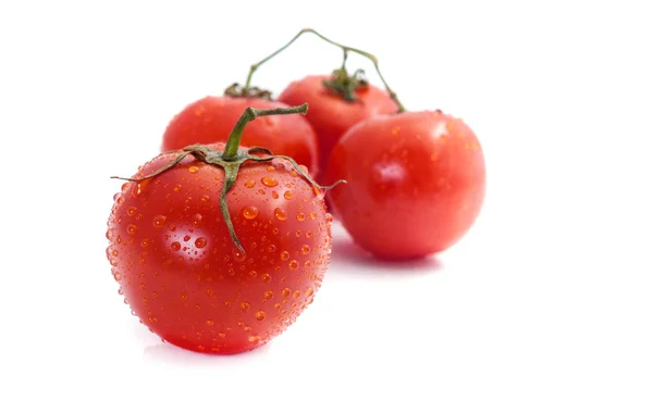 Świeże pomidory na oddział z rosy wody spada — Zdjęcie stockowe