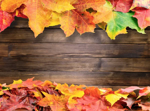 Autumn colored fall leaves on wooden background — Stock Photo, Image
