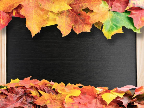 Podzim barevné podzimní listí na shcool tabuli — Stock fotografie
