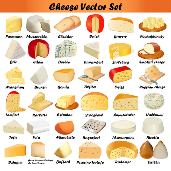 Juego de ilustración de diferentes tipos de queso sobre un fondo blanco — Archivo Imágenes Vectoriales