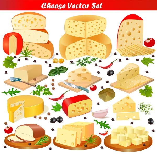 Illustration set of different types of cheese on a white backgro — Stock Vector