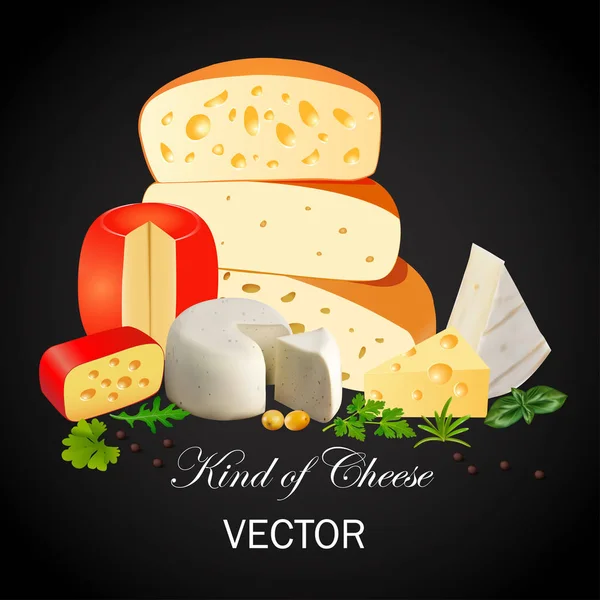 Illustration still life of cheeses of different types with the i — Stock Vector