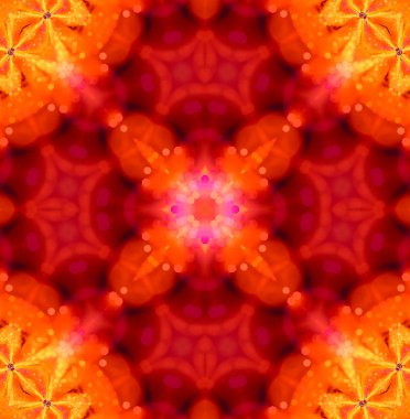 renkli fraktal çiçek desenli, yaratıcı gr için dijital sanat