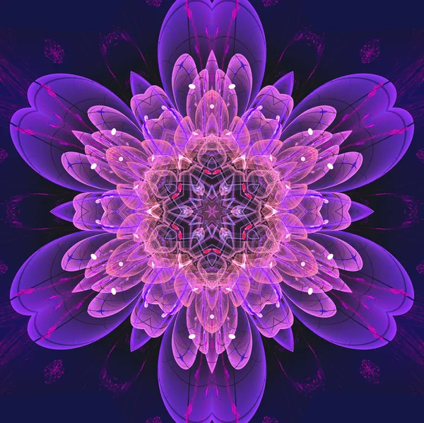 Kleurrijke fractal bloemmotief, digitale kunst voor creatieve gr — Stockfoto
