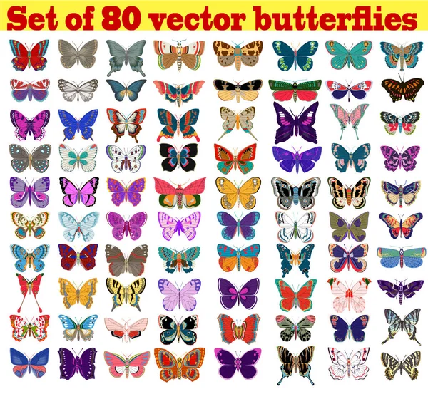 Illustration Set Summer Butterflies White Background — Stock Vector