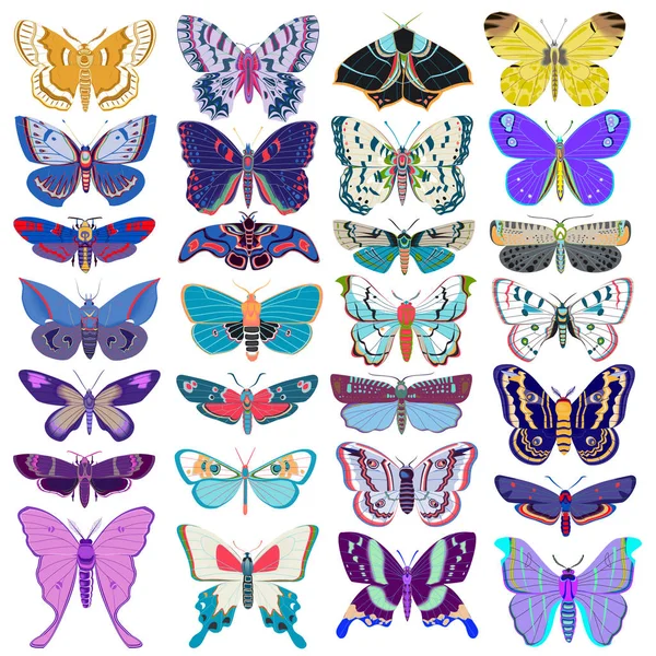白い背景の上夏蝶の図の設定 — ストックベクタ