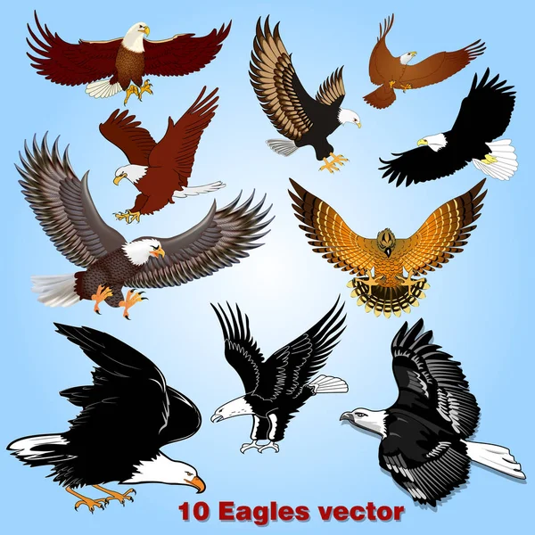 Illustration Ensemble Aigles Vol Dans Ciel — Image vectorielle