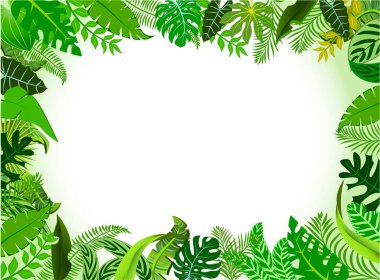 Tropikal bitki ve ağaçların yaprakları ve yaprakları ile ormanın manzara arkaplanı..