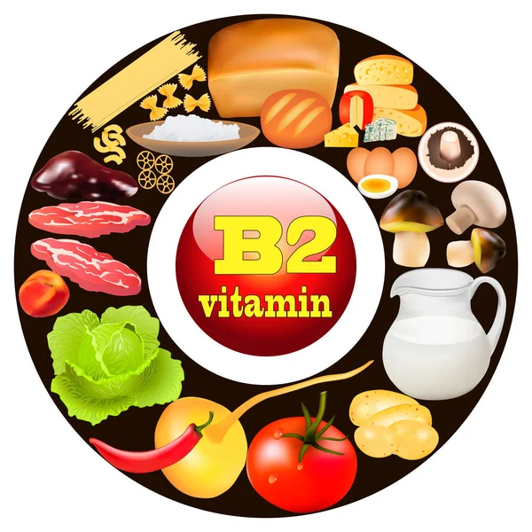 Illustration Två Vitamin Vegetabiliska Och Animaliska Produkter Ursprunget Till — Stock vektor