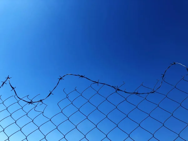 Sfondo di una recinzione di filo spinato contro un cielo blu — Foto Stock