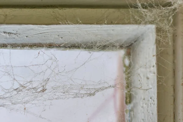 Spinnennetz auf einem schmutzigen Fenster — Stockfoto