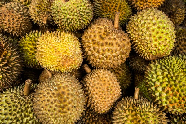 Durians Król Musang Aromatyczne Azjatycka Owoców Tło Mao Shan Wang — Zdjęcie stockowe