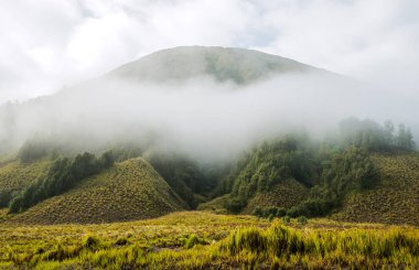 caldera Endonezya Java Bromo yanardağ giderken Hills peyzaj