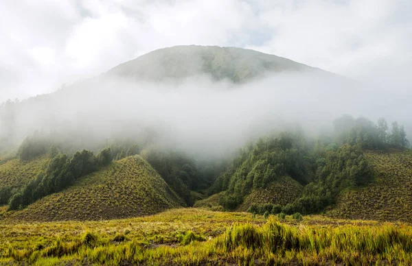 Kopce Krajina Caldera Cestě Sopky Bromo Indonésii Javě — Stock fotografie