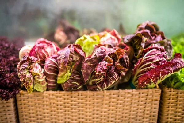 Salad Chicory Supermarket Shelf Baskets Greens Store Vegan Food — Stock Photo, Image