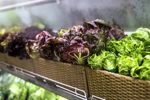 Свежая Зелень Овощи Магазине Полке Супермаркет Гипермаркета Здоровой Пищи — стоковое фото