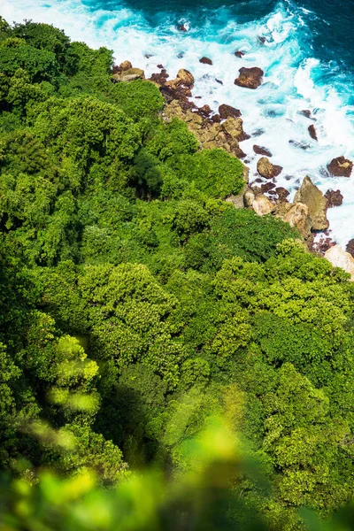 Okyanusu Baş Döndürücü Bir Görünüm Yakın Bir Uçurum Ağaçlarıyla — Stok fotoğraf