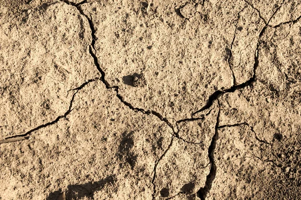 Dry Land Dry Season Drought Background Texture — Stock Photo, Image