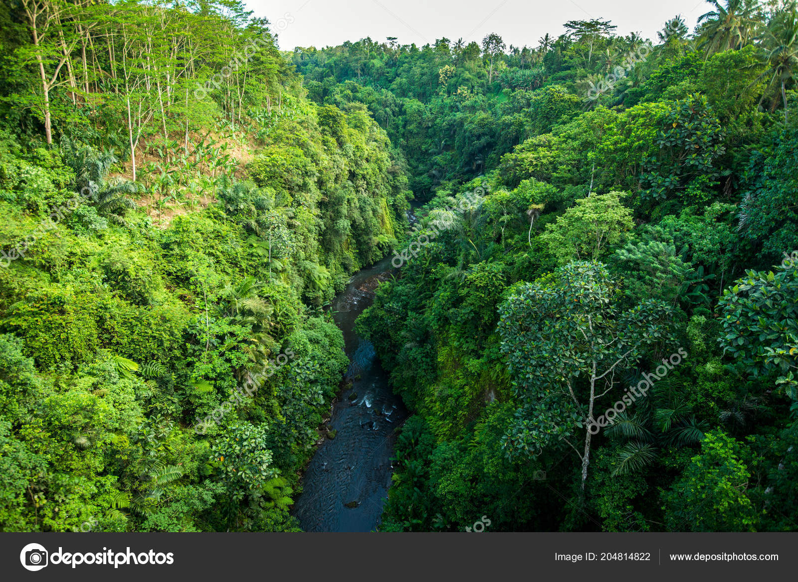 Jungle Tropics Forest River Top Quadrocopter Drone Stock by ©Yarygin 204814822