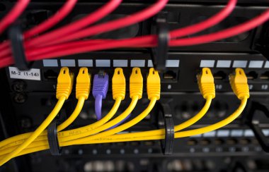 Internet kablo bilgi aktarımı, sunucu ve bilgi depolama