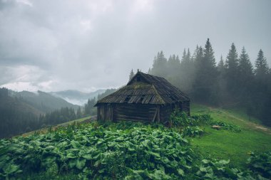 orman evi Dağları sis, cowshed veya dağlarda korunaklı Barınağı'nda