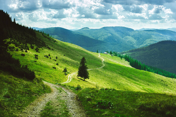 a beautiful landscape of summer mountains, green slopes of the Ukrainian and Romanian Carpathians, a road on the slope to the house on the slope