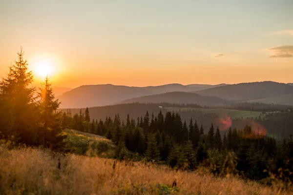 Krajobraz Gór Europie Przyrody Karpackiej Wieczorem Lecie — Zdjęcie stockowe
