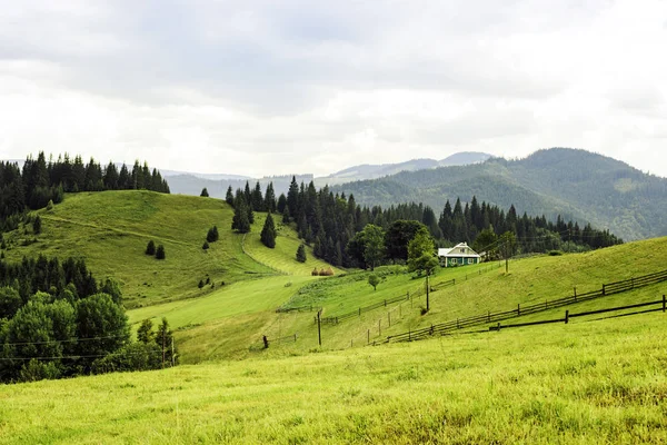 Karpaten Sommertagslandschaft Westukraine Berge Kleines Haus Und Weide — Stockfoto