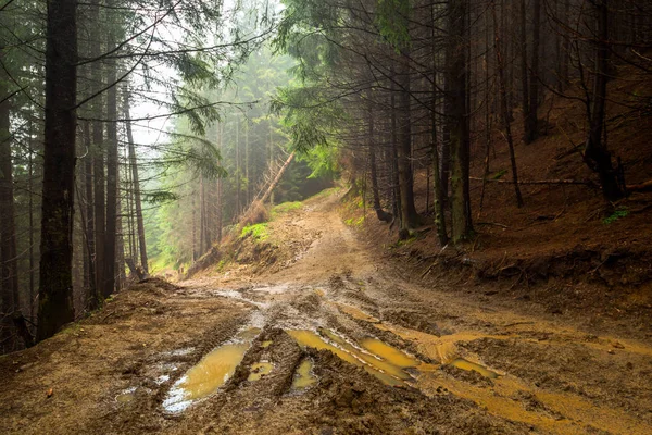 Modder Boslandschap Weg Aard Pad — Stockfoto