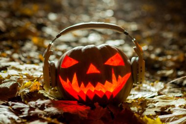 siyah bir zemin üzerine hafif kabak jack