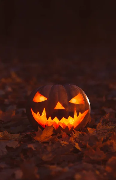 pumpkin lantern on an autumn holiday halloween, vertically oriented photo