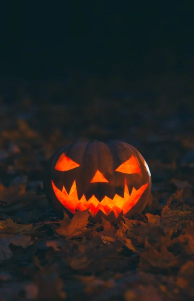 Halloween Jack Lanterna Papel Parede Abóbora Para Smartphone — Fotografia de Stock