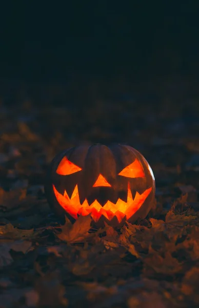 Halloween Jack Lantern Sütőtök Tapéta Részére Smartphone — Stock Fotó