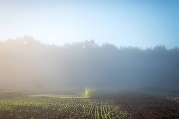 Minimalismo Naturaleza Paisaje Matutino Amanecer Pueblo —  Fotos de Stock