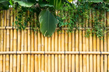Bambu çit ve tropik bitkiler Japonya sokaklarında
