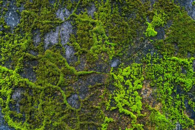 mimari, tasarım ve arka plan, duvar kağıdı ve doku, fikirler şekillenme betonda