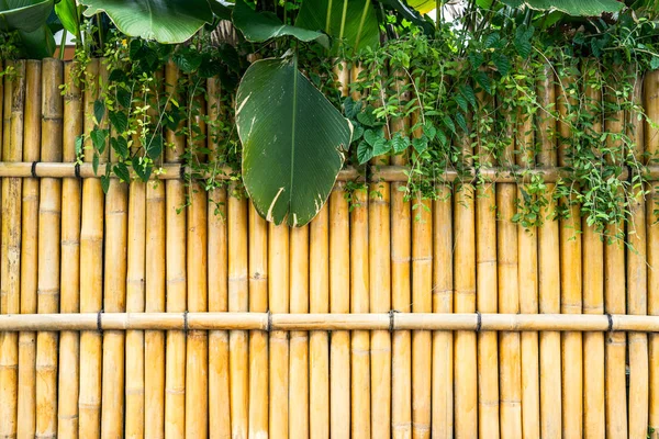 Pagar Bambu Dan Tanaman Tropis Jalan Jalan Jepang — Stok Foto