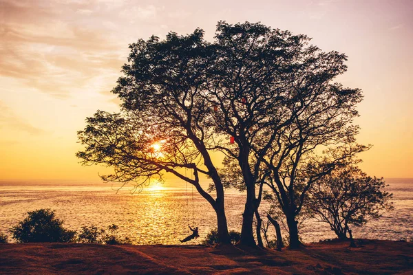 日落时 在海边的树下荡秋千 — 图库照片