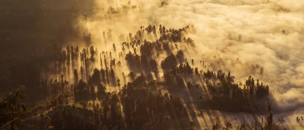 Panorama Der Morgendlichen Nebligen Landschaft Die Strahlen Der Aufgehenden Sonne — Stockfoto