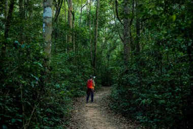 yeni yerler dünya keşfetmek ormanda macera izleyin