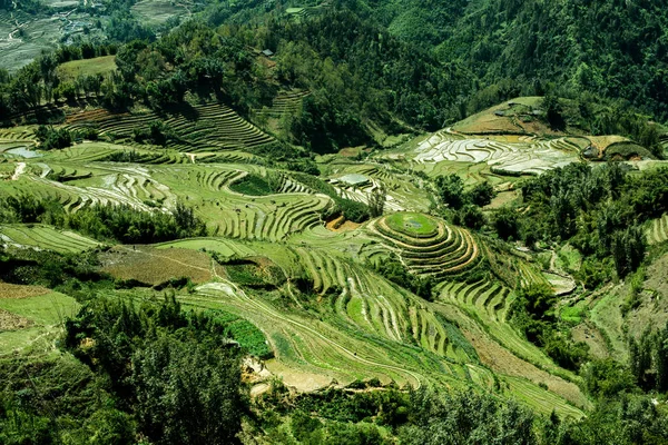 Vista Las Terrazas Sapa Vietnam Las Montañas Norte Del País — Foto de Stock