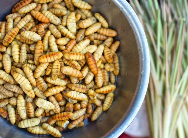 Larvas Palma Asiática Comida Exótica Cocina Asiática — Foto de Stock