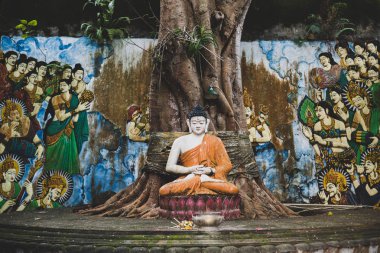 Buda tapınaklardan Asya, Brahmavihara-Arama bir ağacın altında derin derin düşünür
