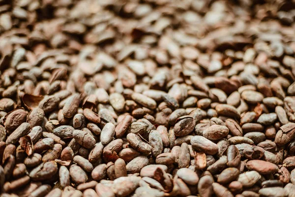 Fondo Granos Cacao Primer Plano Ingredientes Chocolate Fábrica Chocolate — Foto de Stock